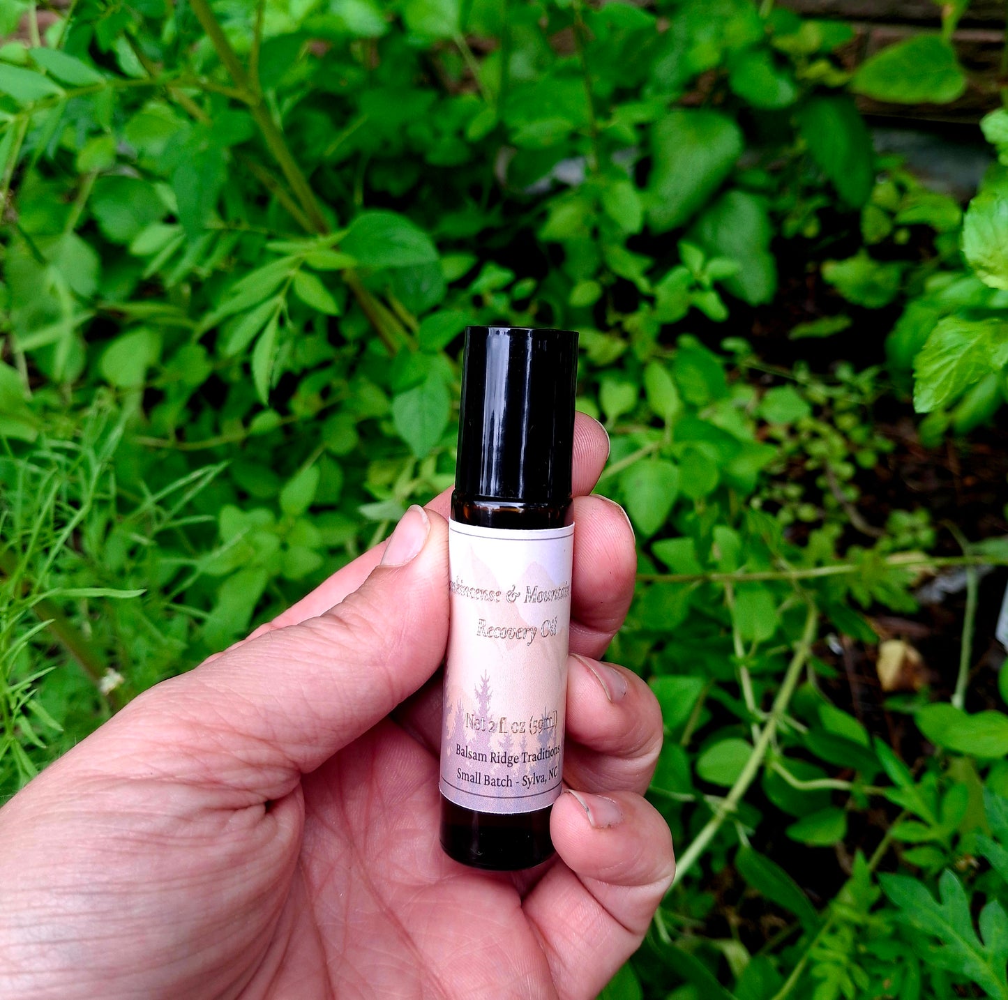 Frankincense & Mountain Pine Recovery Oil