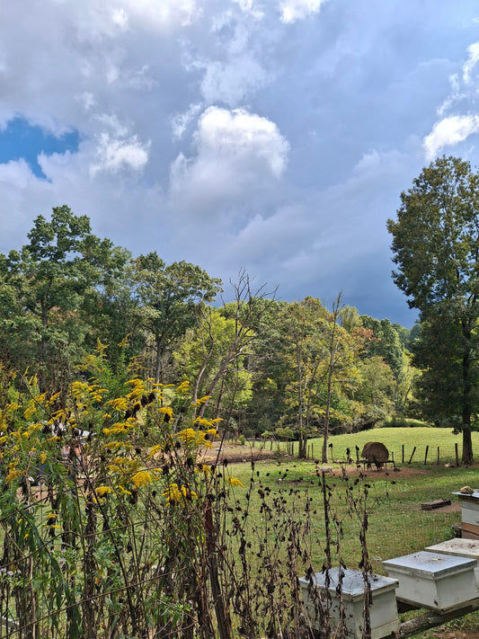 Storm rolling in over the farm